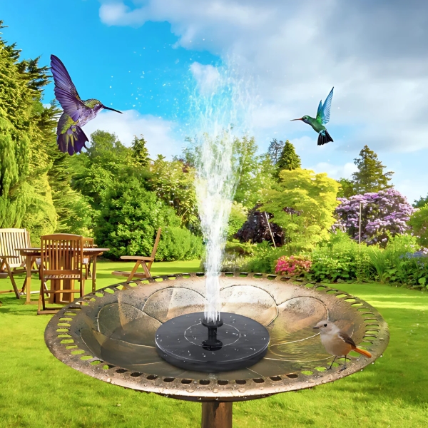Garden fountain with a water jet in a circular basin, hummingbirds hovering nearby in a sunny yard.