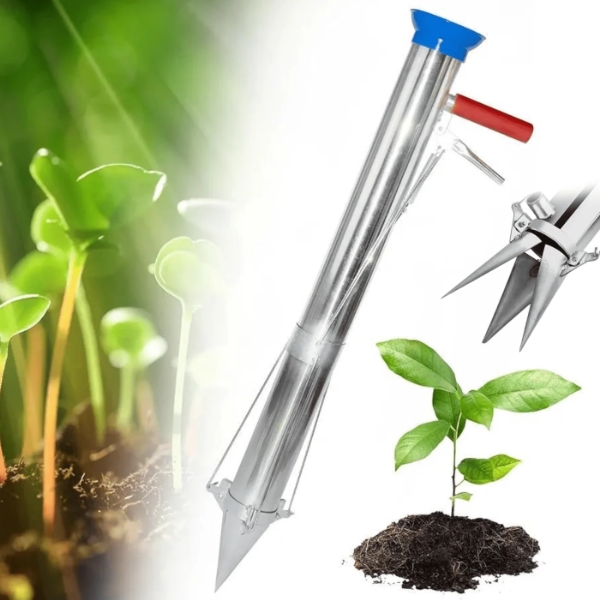 Young seedlings sprouting in soil on the left, with a metal gardening tool and pruning shears beside a small plant on the right.